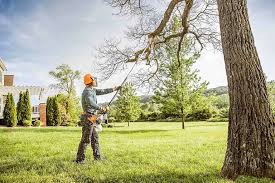 Best Hedge Trimming  in Vero Beach, FL